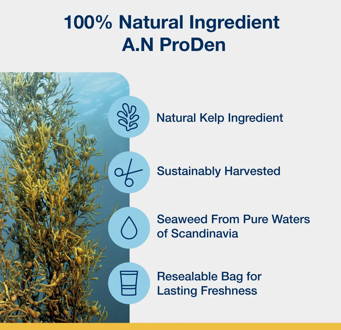 ProDen PlaqueOff Dental Care Bone Bacon清理口腔可清除牙结石 磨牙棒火腿味 1pc