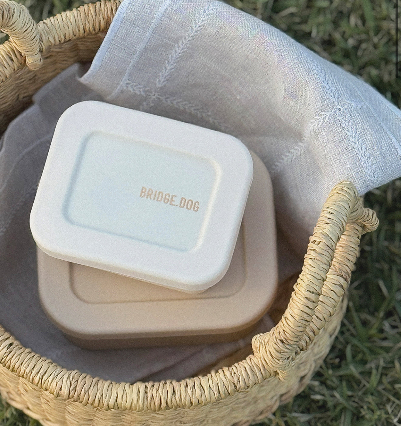 Bridge Dog Snack Box 150ml