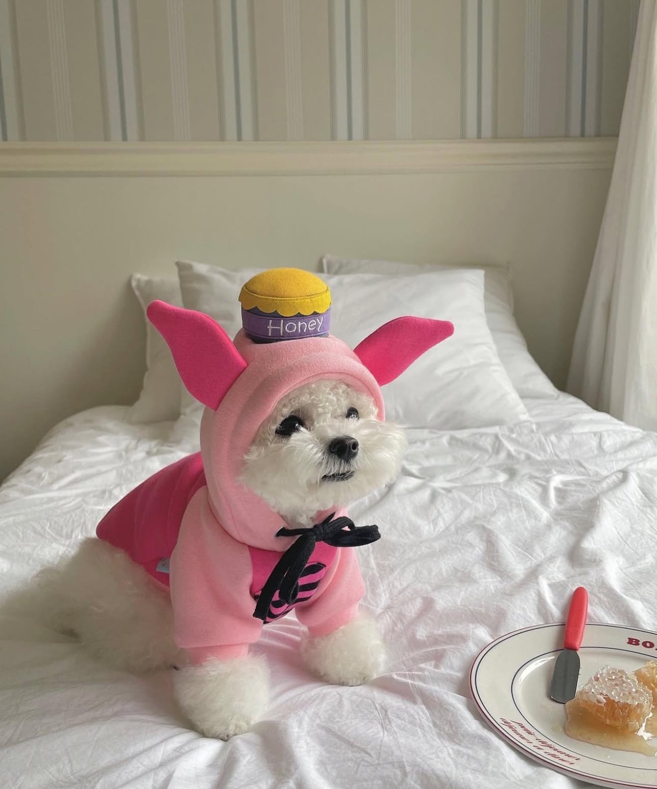 OHHA Honey pig Hoodie