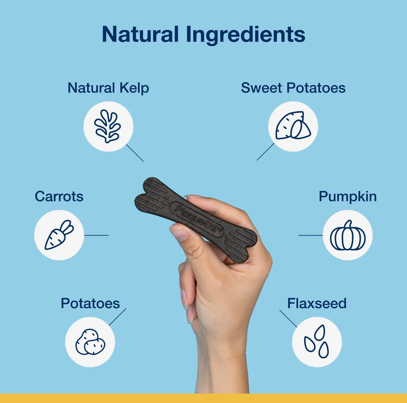 ProDen PlaqueOff Dental Care Bone Bacon清理口腔可清除牙结石 磨牙棒火腿味 1pc