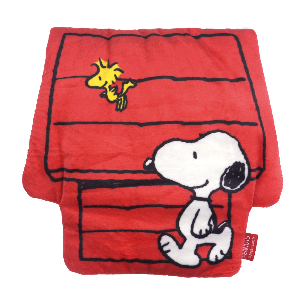 Snoopy Hiding Searching Toy
