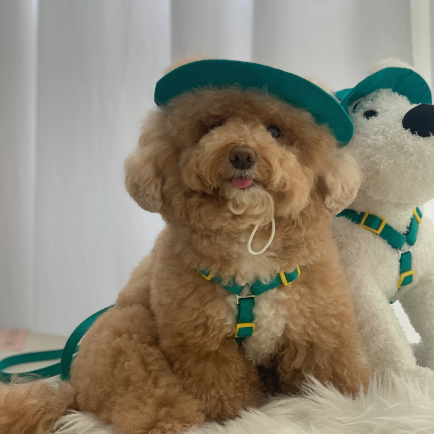 Snoopy Harness with Leash and Hat
