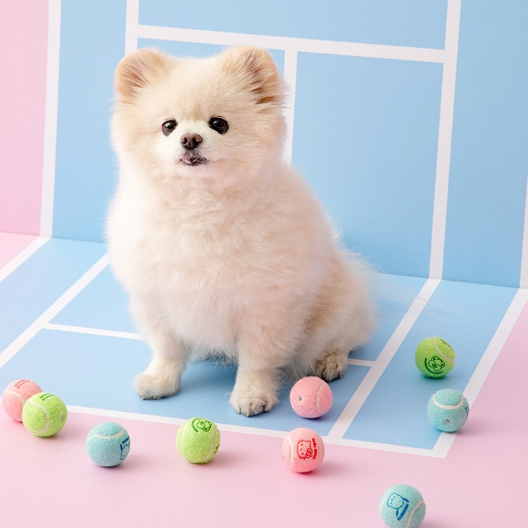 Biteme Sanrio Mini Tennis Balls Toy 三丽鸥联名小网球 3pcs