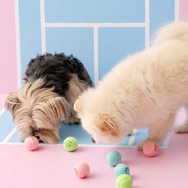 Biteme Sanrio Mini Tennis Balls Toy 三丽鸥联名小网球 3pcs
