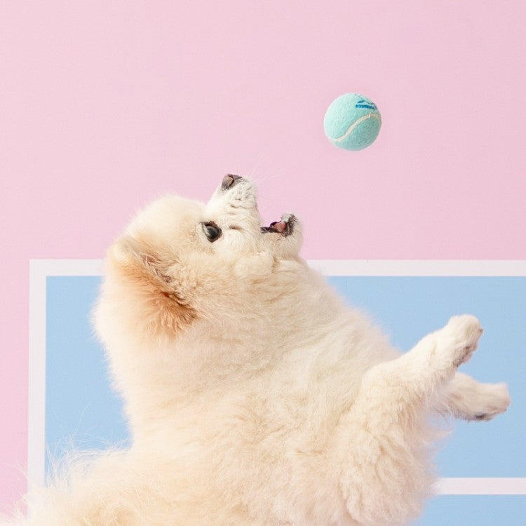 Biteme Sanrio Mini Tennis Balls Toy 三丽鸥联名小网球 3pcs