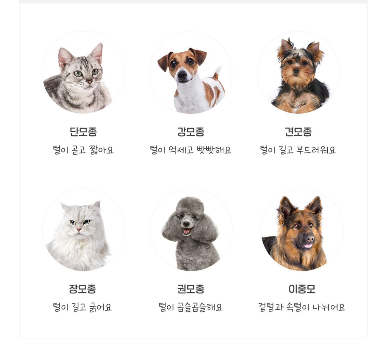 Pethroom HEALING SLICKER BRUSH