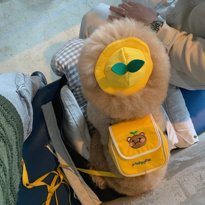 Korean Cute Backpack Harness with Leash and Hat