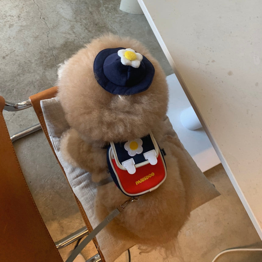 Korean Cute Backpack Harness with Leash and Hat