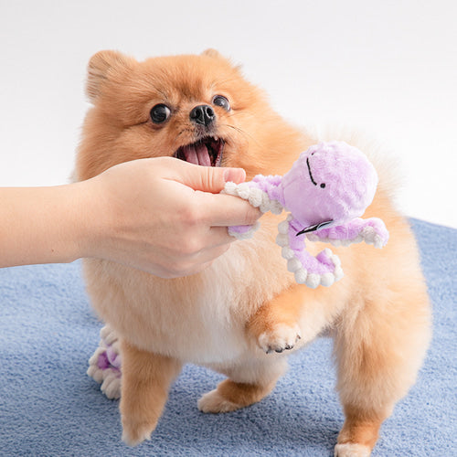 BITE ME Long Hands Ball Toy (2 types)长腿玩具