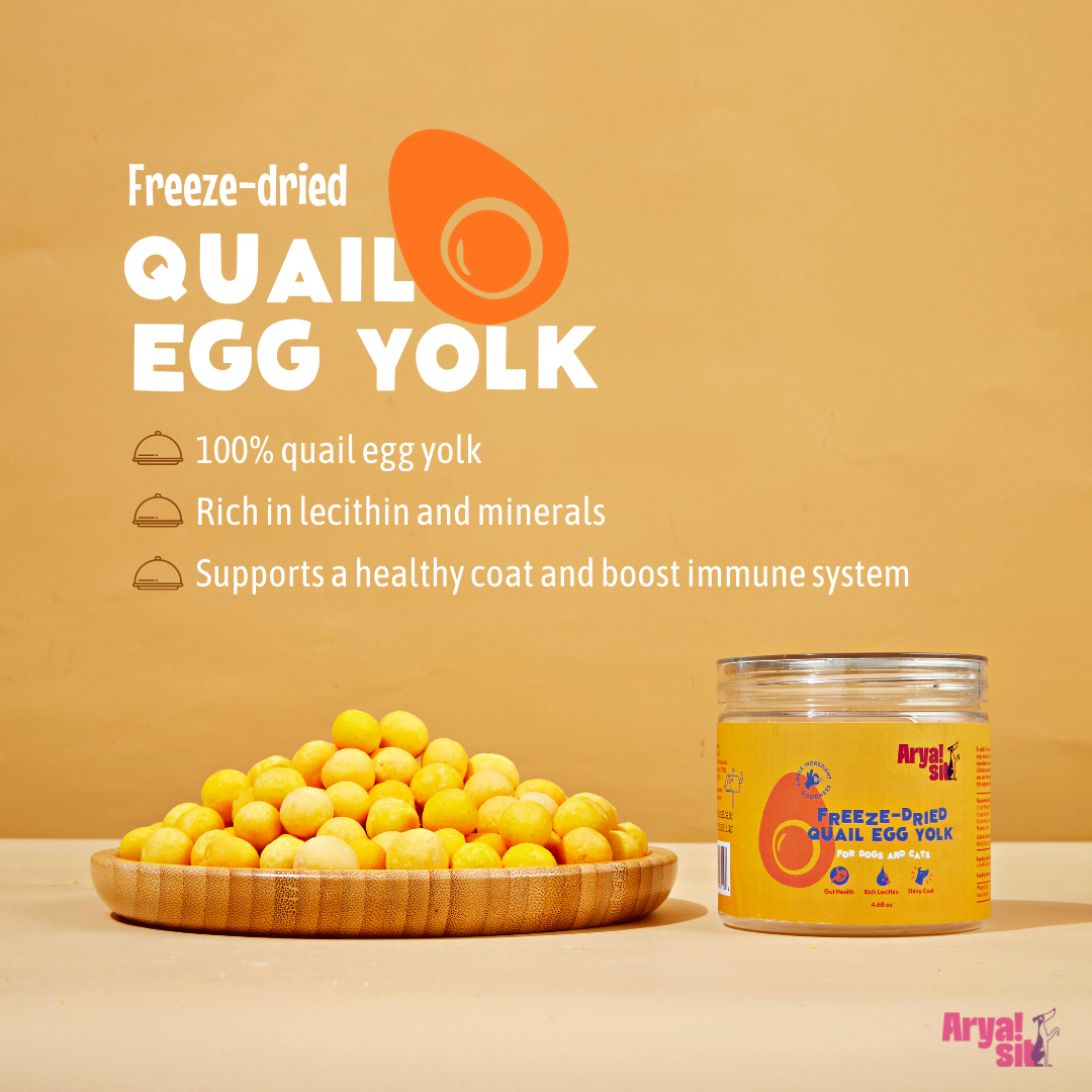 Freeze-Dried Egg Yolk 4.88oz