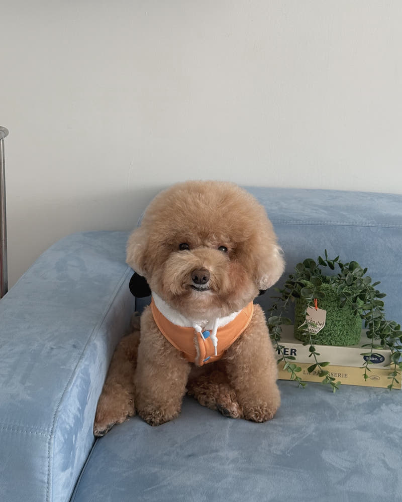Snoopy Warm Vest