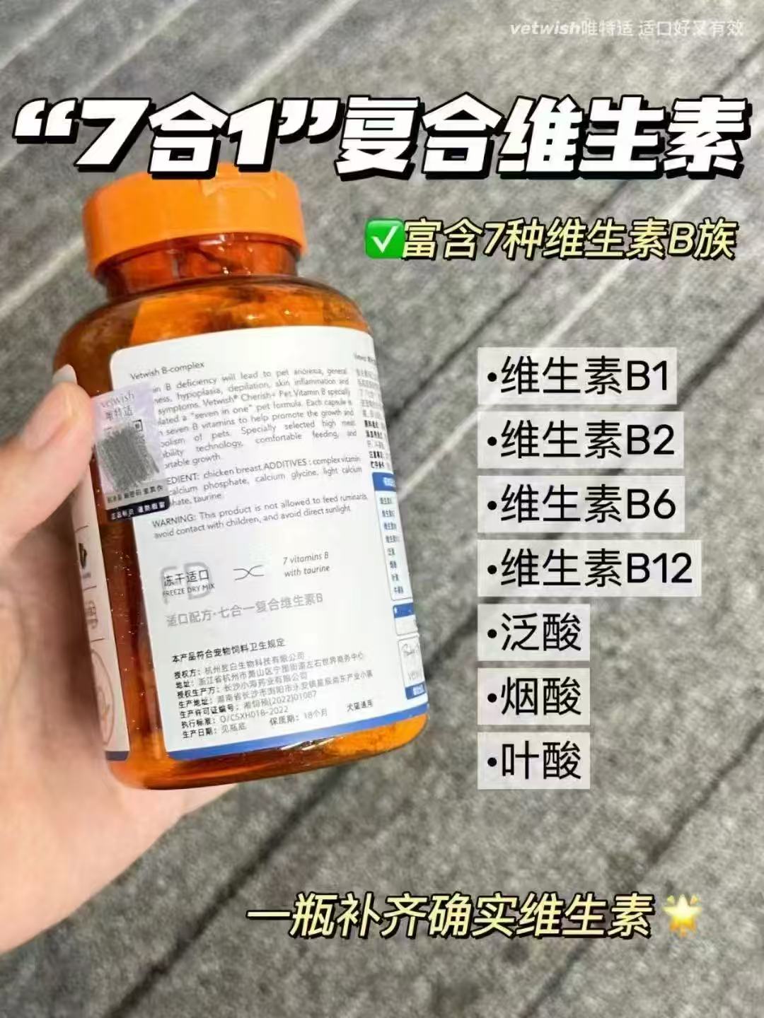 Vetwish Compound Vitamin for Dog and Cat 40g