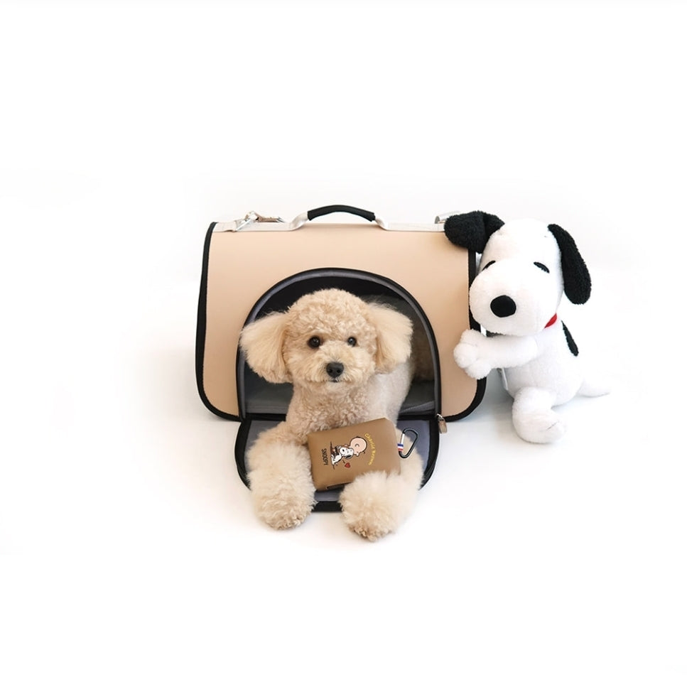 Snoopy's outgoing bag m size