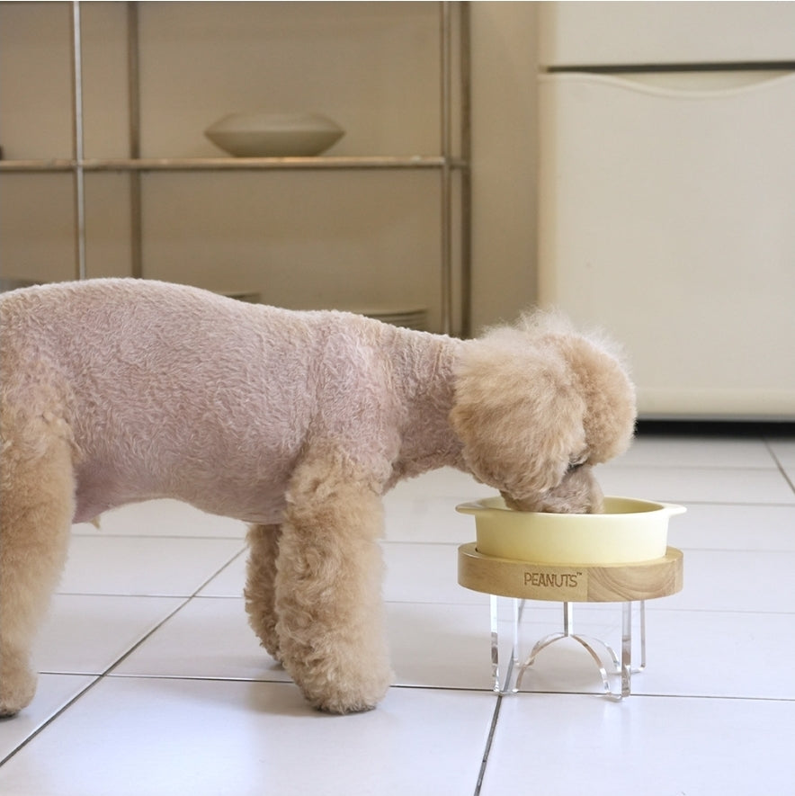 Paris Dog Peanuts Chef Bowl and Table Mini Size