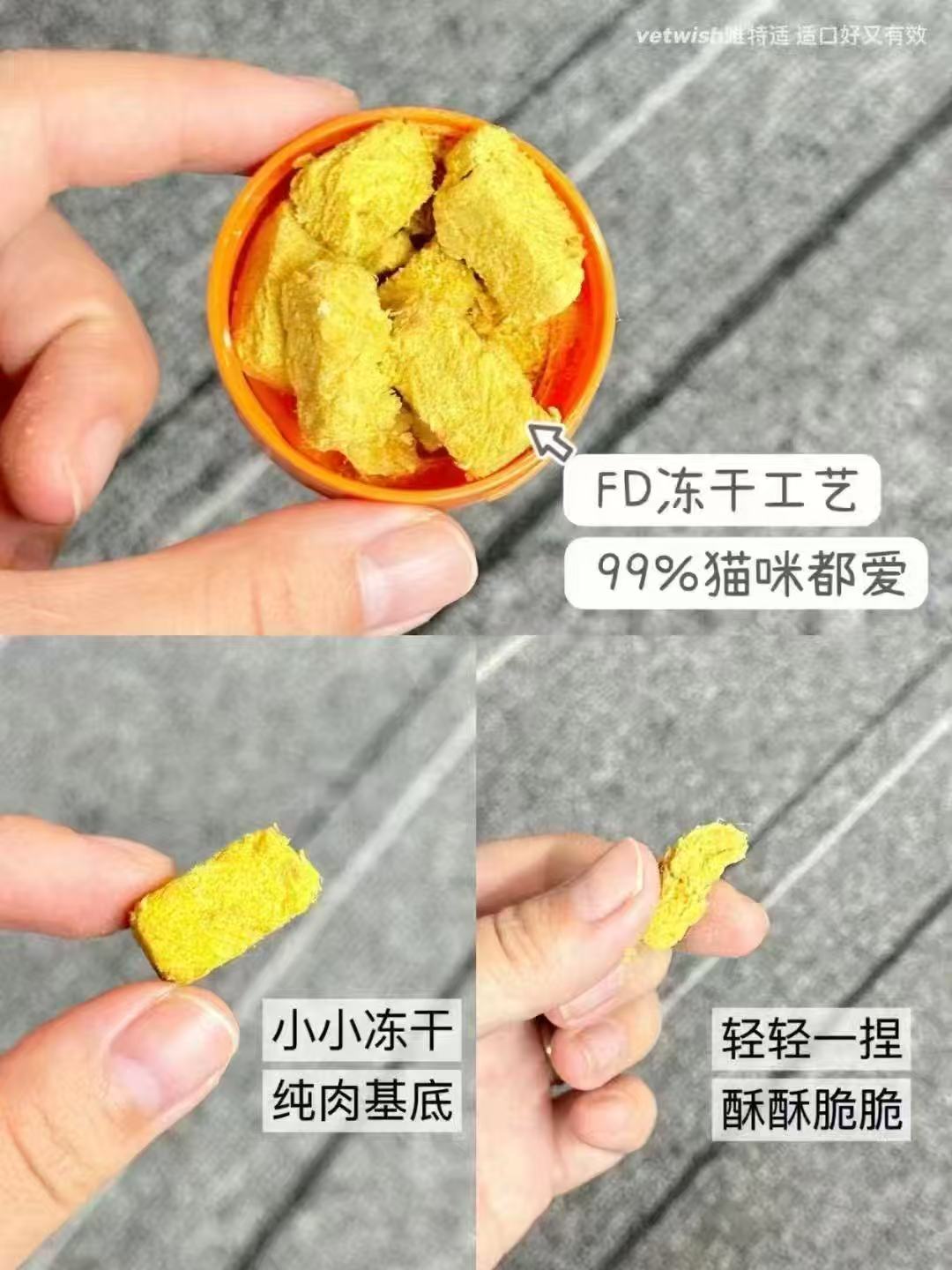 Vetwish Compound Vitamin for Dog and Cat 40g